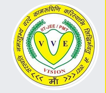 VISION PMT logo
