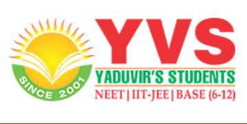YVS INSTITUTE logo