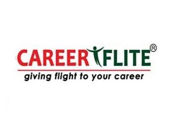Career Flite logo