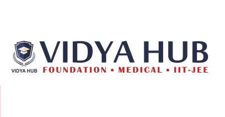 Vidya hub logo