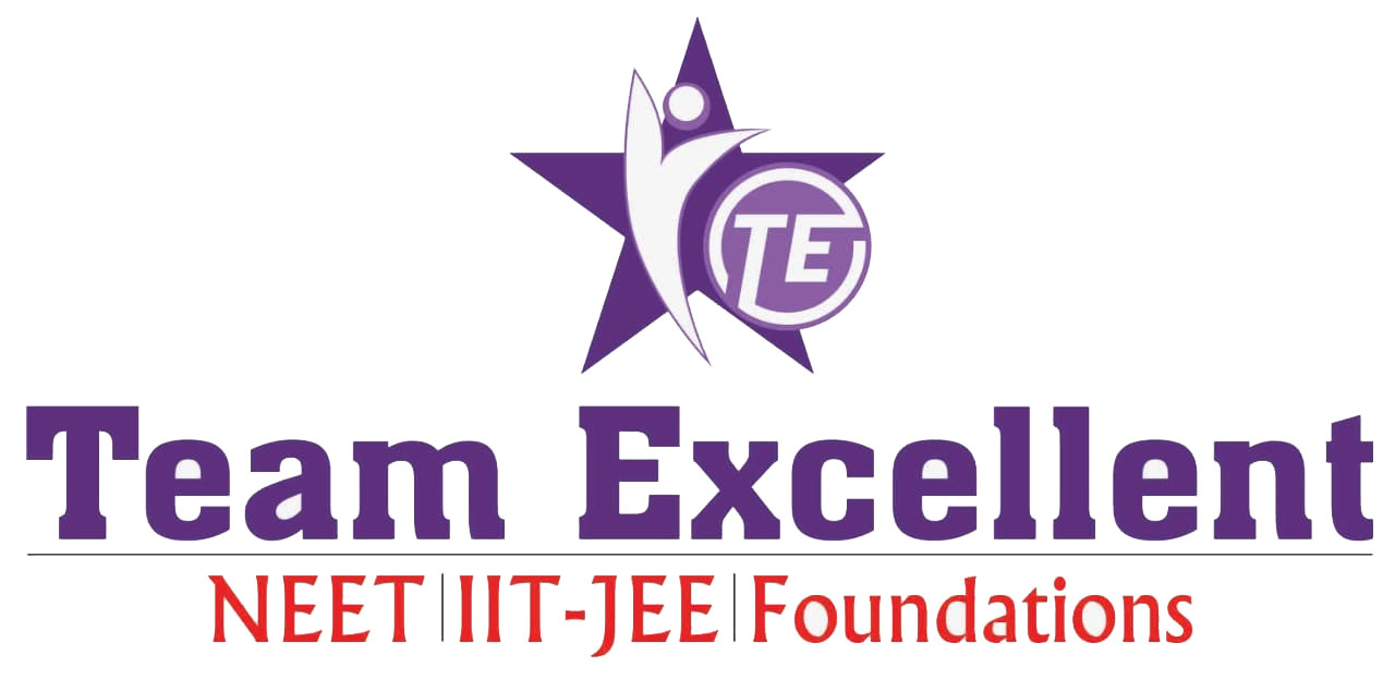 Team Excellent Career Institute