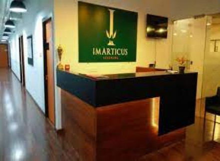 IMARTICUS LEARNING photo