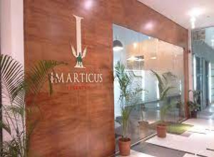 IMARTICUS LEARNING photo